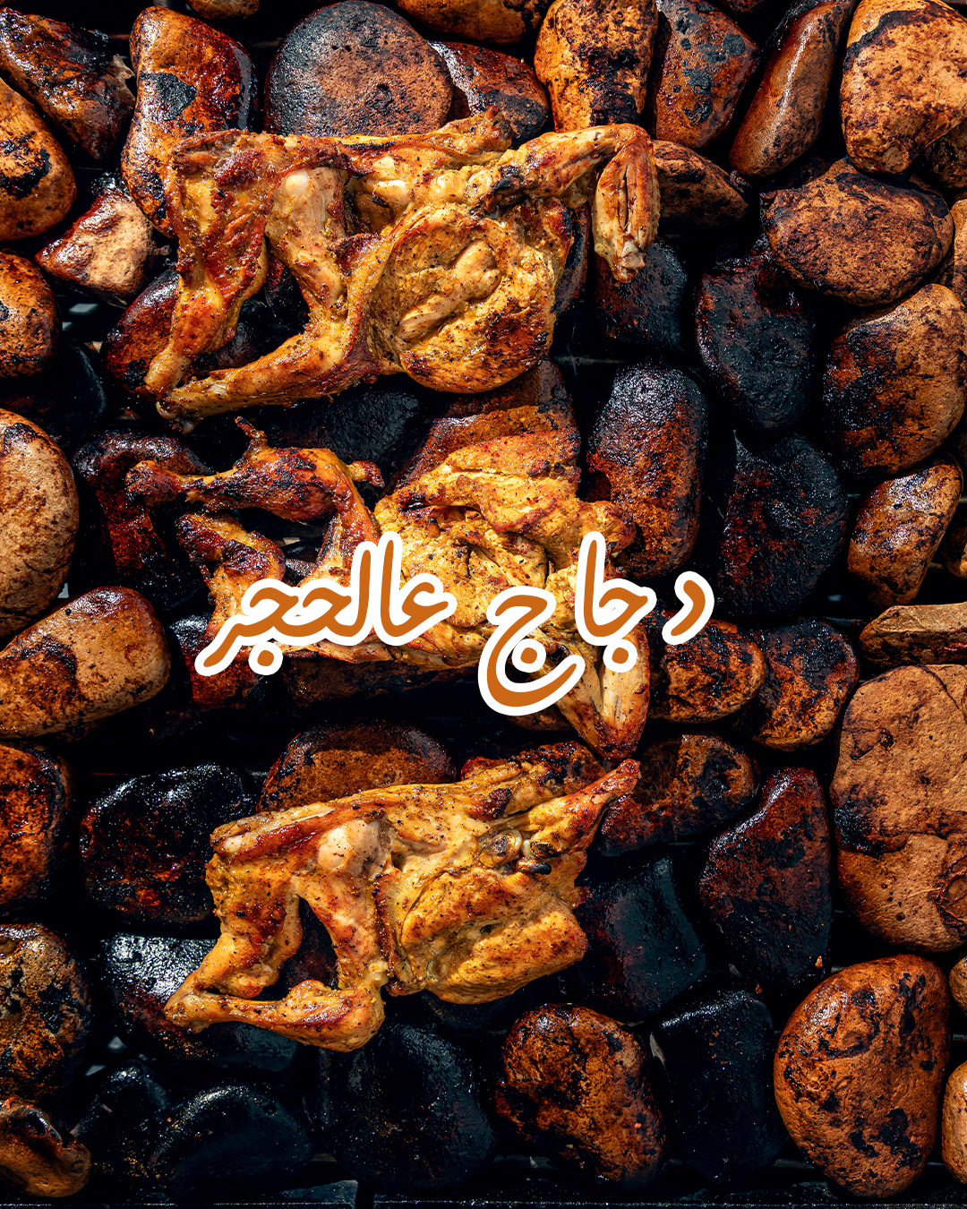 دجاج على الحجر